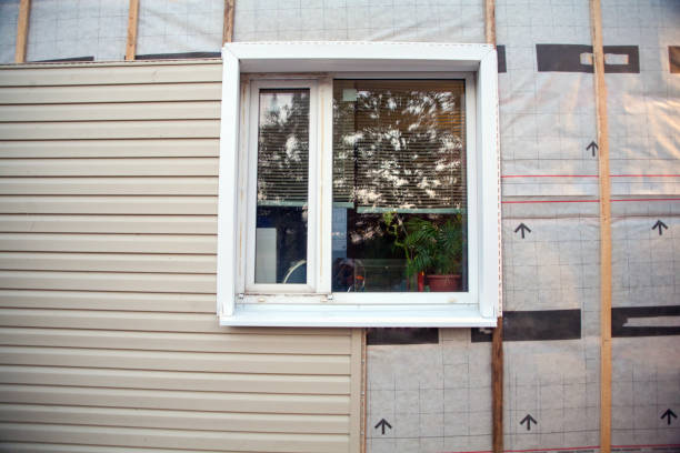 Best Insulated Siding Installation  in Stratford, CA