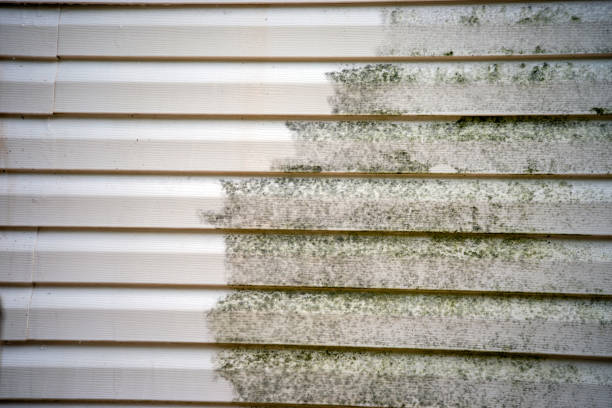 Best Stone Veneer Siding  in Stratford, CA